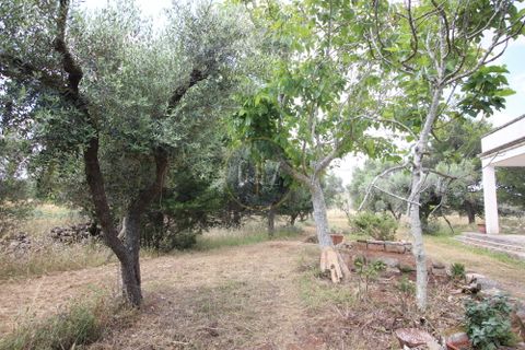 Landejendom i Calimera, Lecce, Calimera - € 135.000 | Ref:  CR001 - foto 16